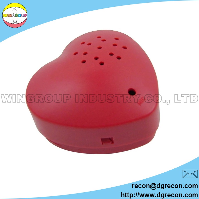 Heart voice recordable box